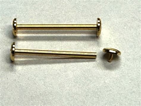 Ewatchparts WATCH STRAP SCREW & TUBE (PINS) FOR 